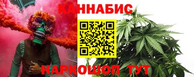 прущие грибы Краснодар