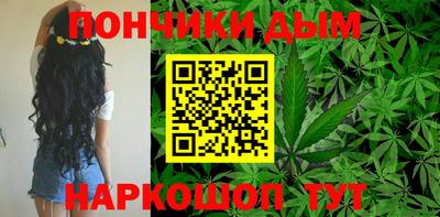 гидра Краснокаменск