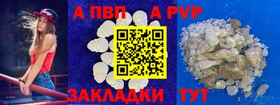 прущие грибы Краснодар