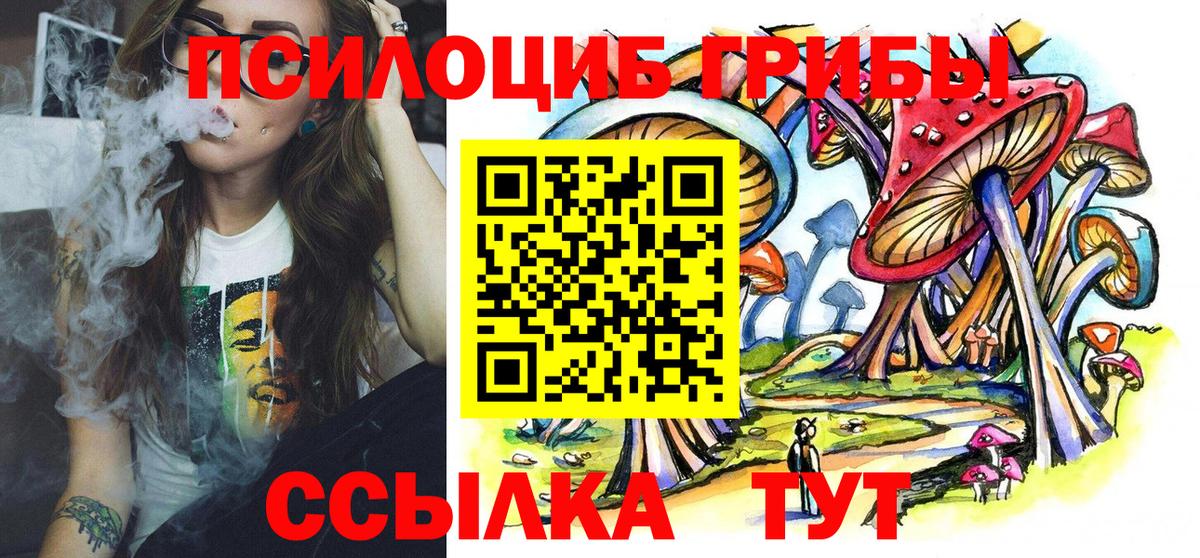 Галлюциногенные грибы Psilocybe Керчь